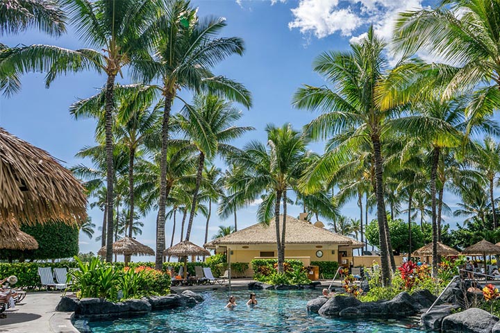 Tropical Bliss: Palms Adorning Commercial Pools